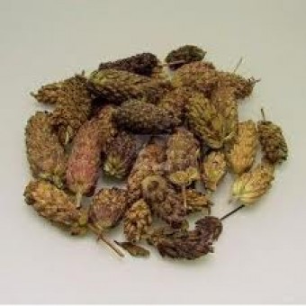 Karabaş Otu   60  gr